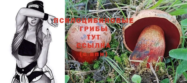 трава Сосновый Бор