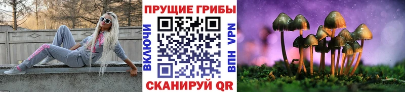 Галлюциногенные грибы Psilocybine cubensis  kraken tor  Будённовск  наркошоп 